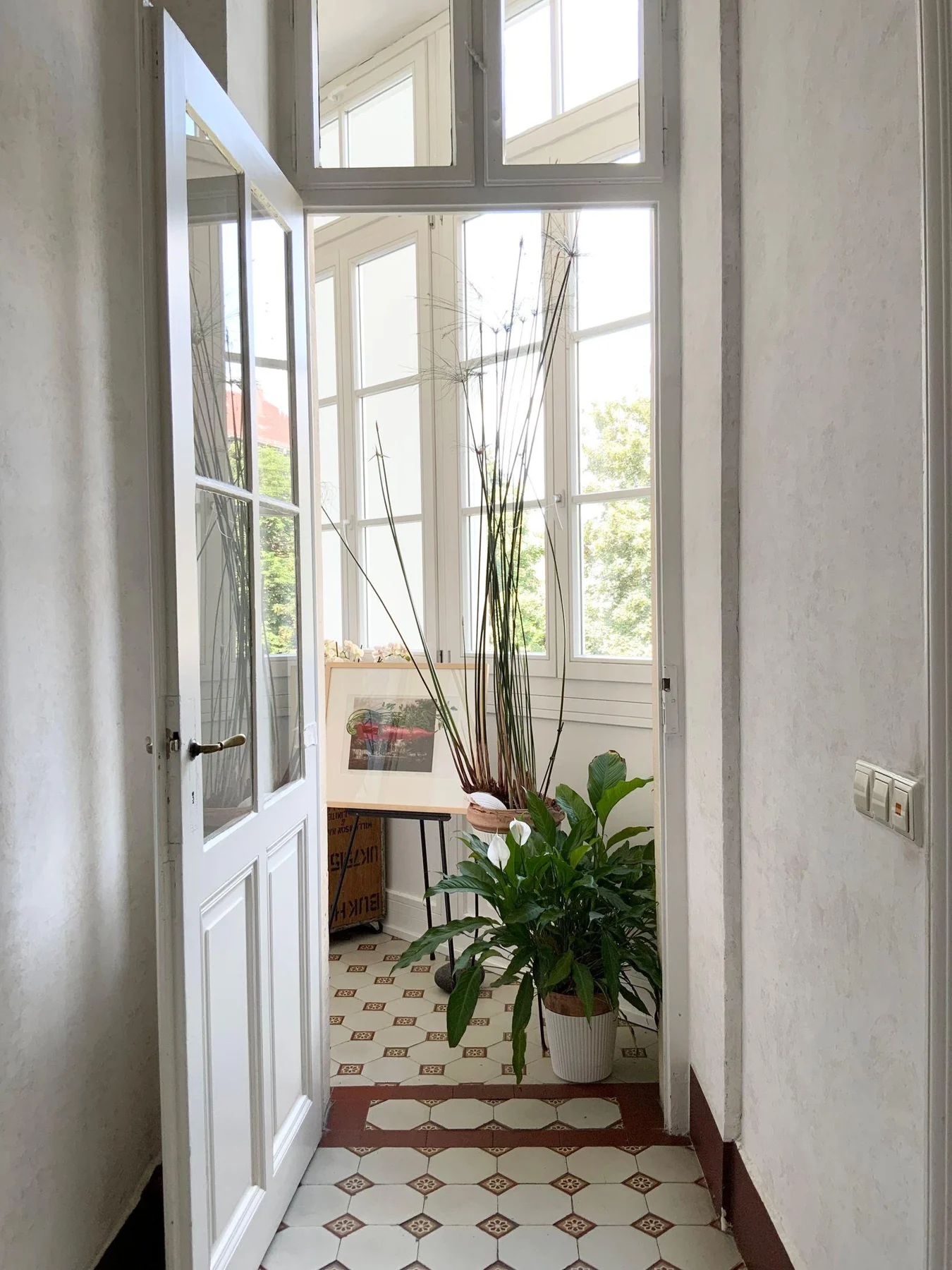 A narrow bright interior passage with a small framed artwork and plants.