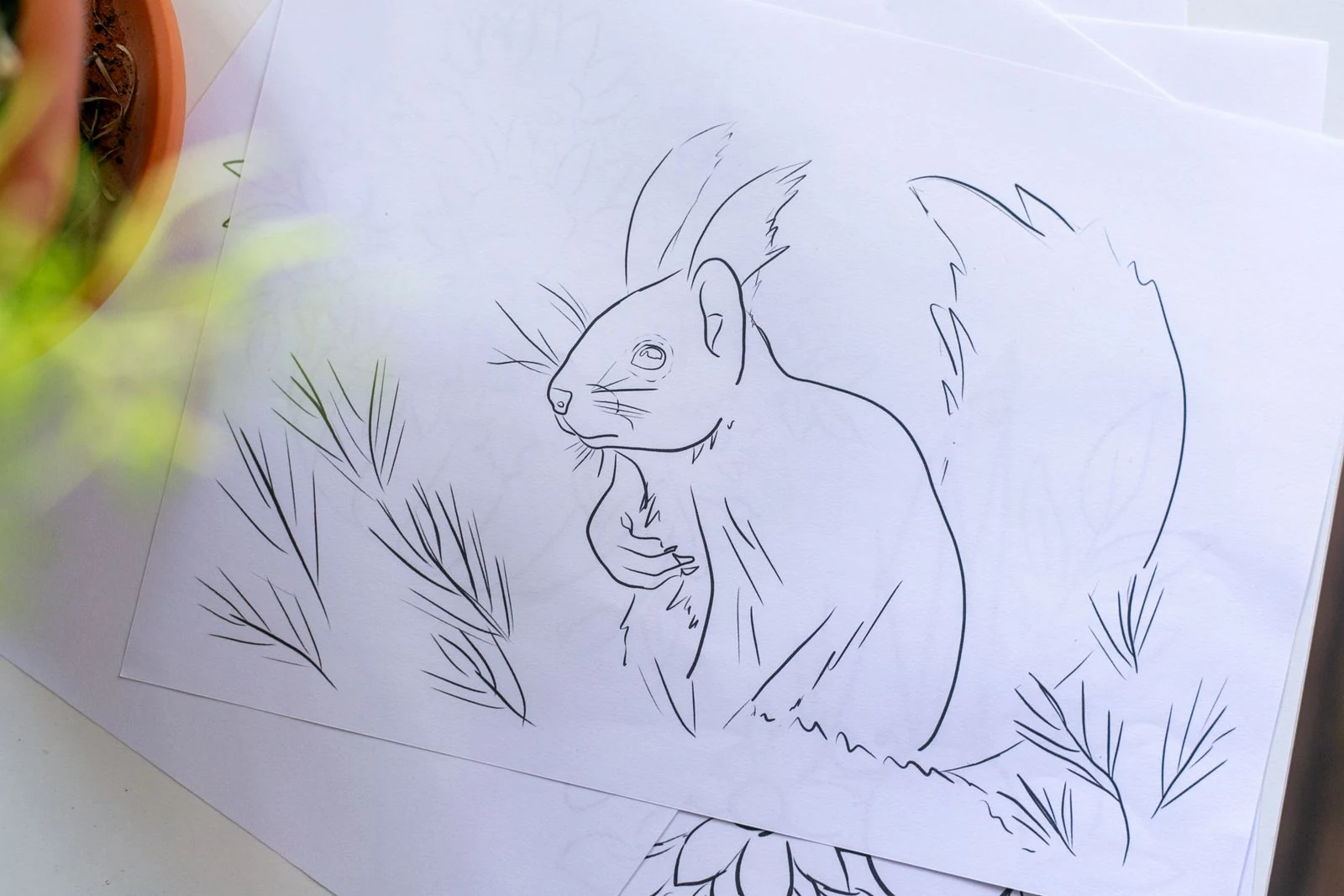 A hand-drawn squirrel with a curled tail and expressive outline on white paper.